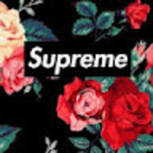 Meet your Posher, Ellene